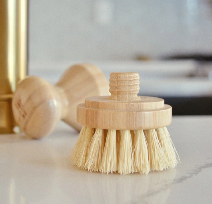 Scrub Brush Replacement Heads