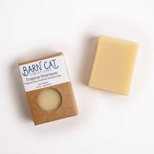 Solid Shampoo - Tropical
