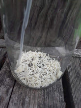 Load image into Gallery viewer, All-Purpose Cleaning Concentrate