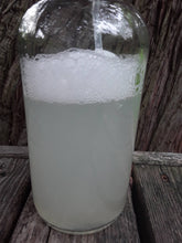 Load image into Gallery viewer, All-Purpose Cleaning Concentrate