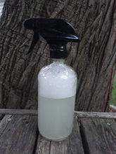 Load image into Gallery viewer, All-Purpose Cleaning Concentrate