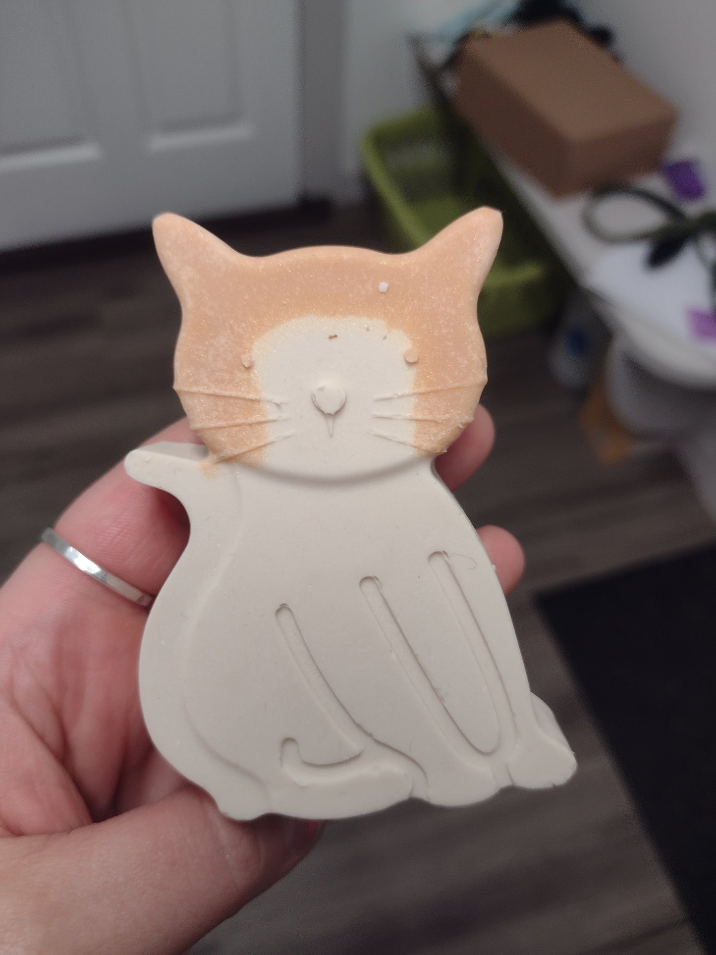 Here Kitty Kitty
