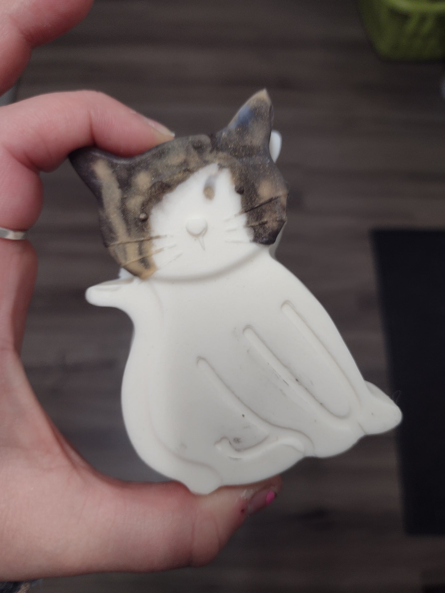 Here Kitty Kitty