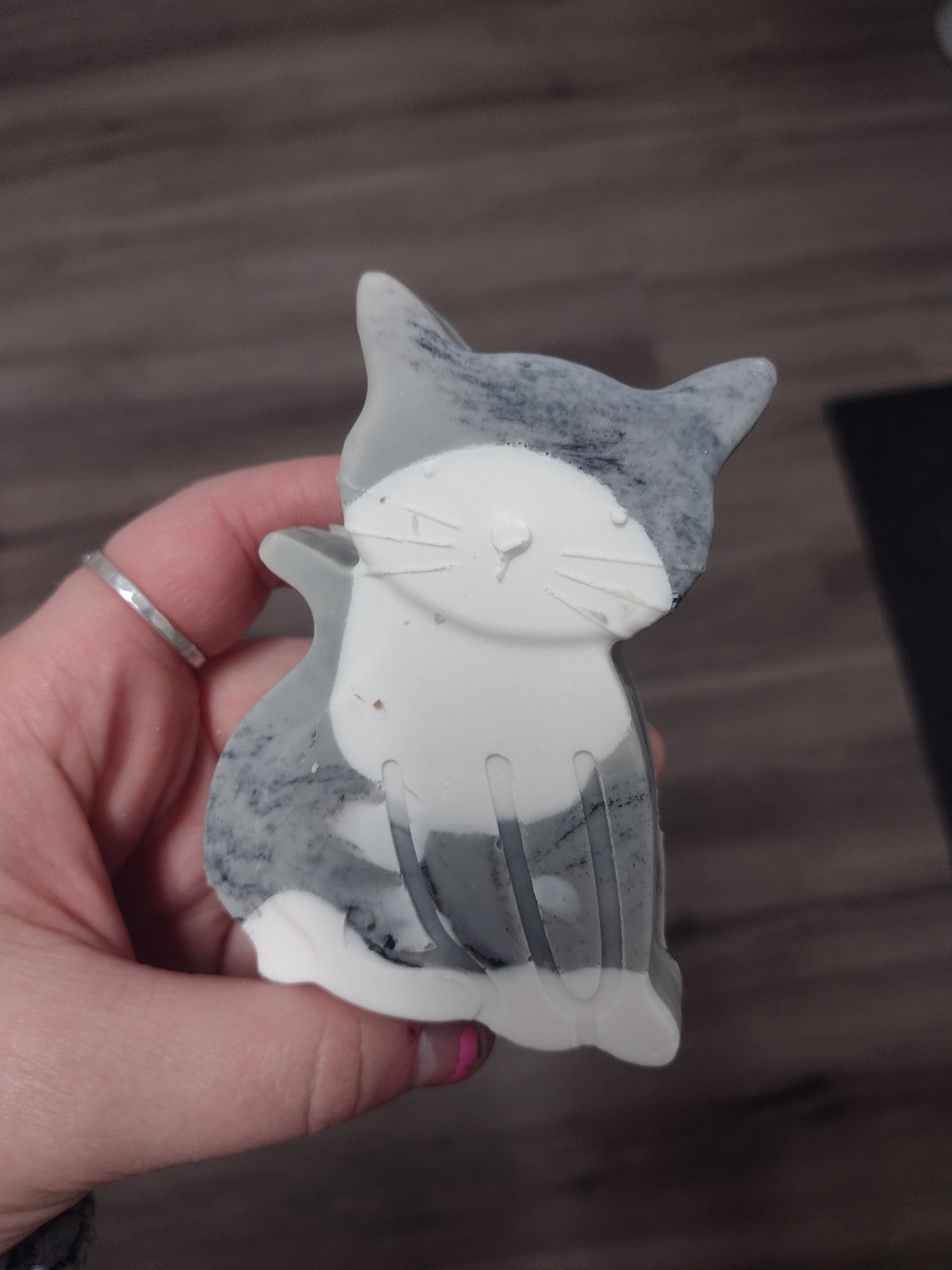 Here Kitty Kitty