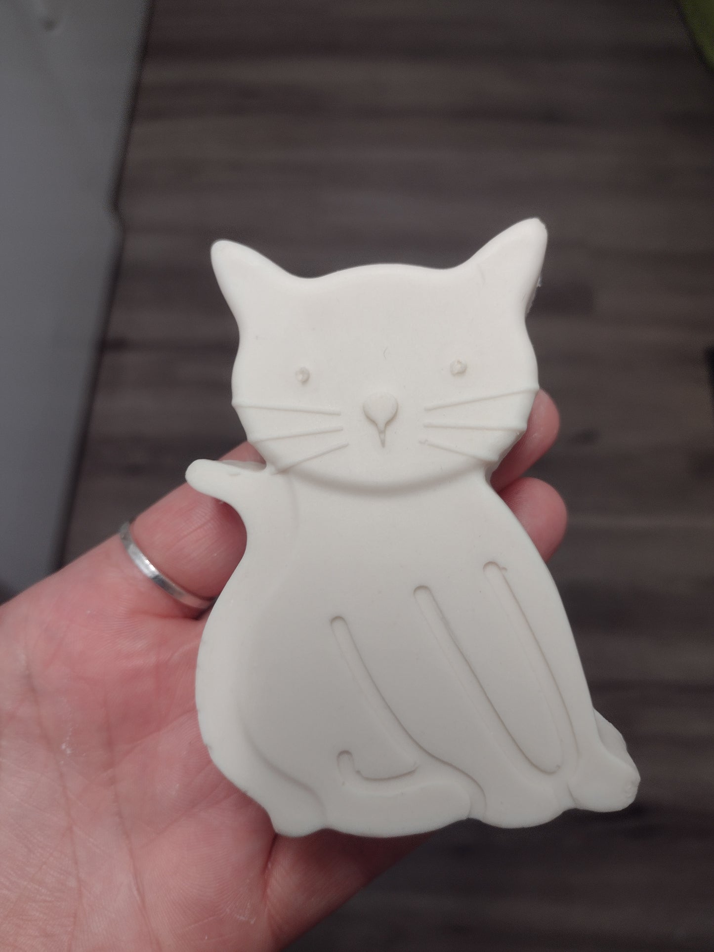 Here Kitty Kitty
